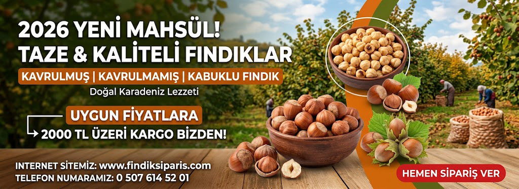 yeni mahsül fındık satışı